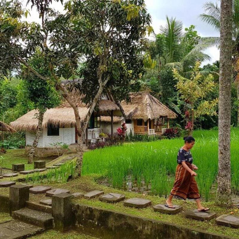 Hakiki Inn Bungalows Tetebatu Exteriör bild