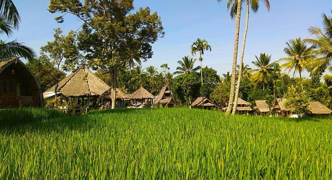 Hakiki Inn Bungalows Tetebatu Exteriör bild