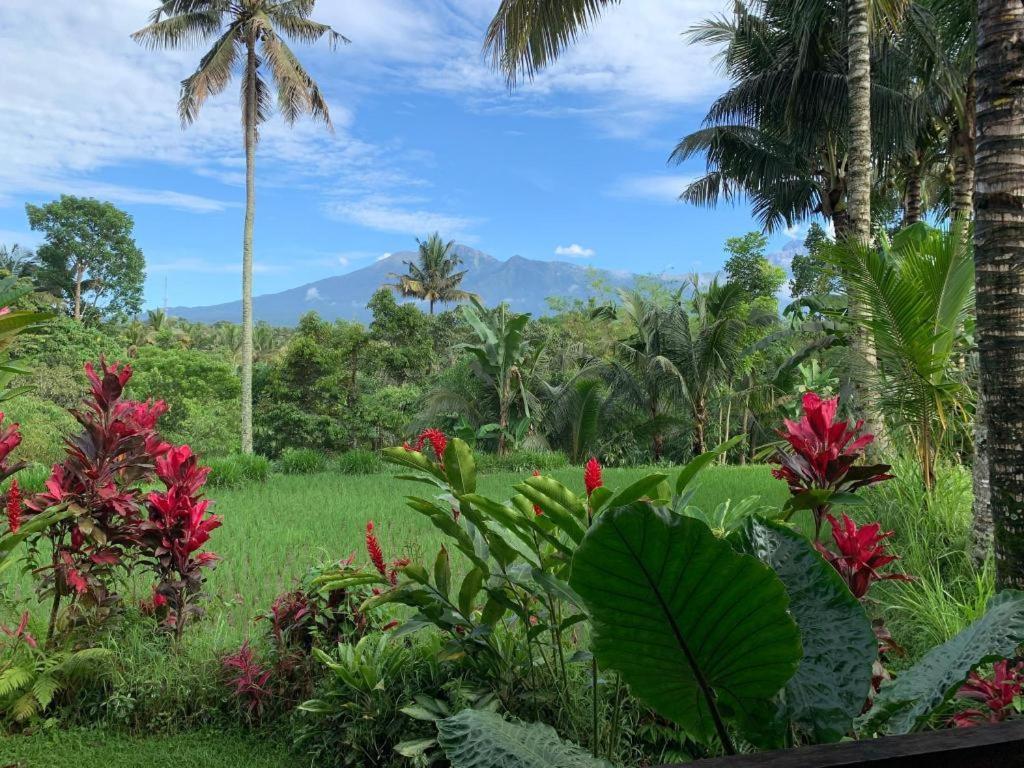 Hakiki Inn Bungalows Tetebatu Exteriör bild